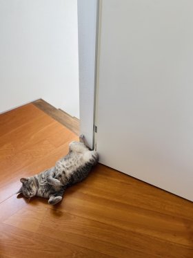 避難していました