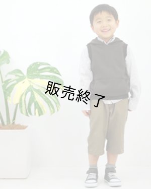 画像2: フレキシブルベスト