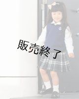 フレキシブルベスト