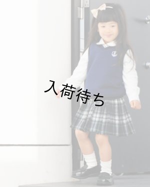 画像1: フレキシブルベスト