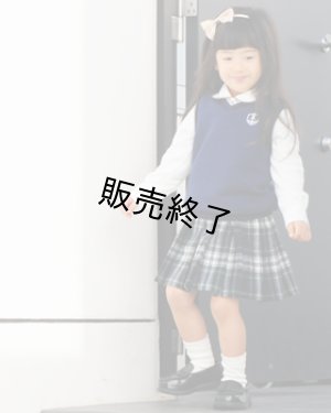 画像1: フレキシブルベスト