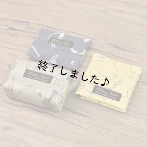 画像7: サニタリーケース（無料型紙）