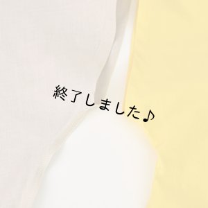 画像16: 布帛Tシャツ（無料型紙）