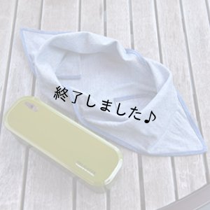 画像12: お弁当袋（無料型紙）
