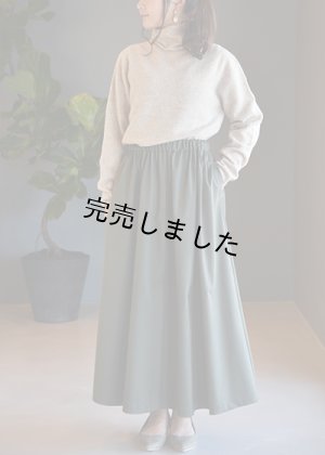 画像5: マキシスカートキット