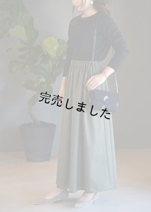 画像3: マキシスカートキット