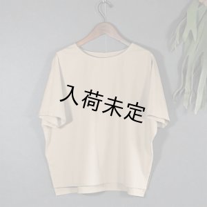 画像3: 布帛Tシャツキット