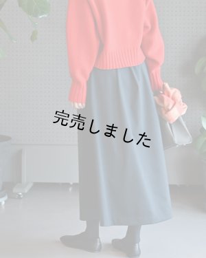 画像10: ★ハイウエストマキシスカートキット