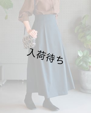 画像2: ★ハイウエストマキシスカートキット