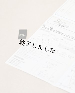 画像8: 携帯用薄型ティッシュケース（無料型紙）