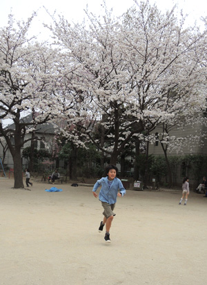 お花見inみなこ