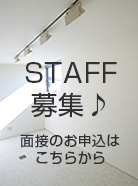 スタッフ募集
